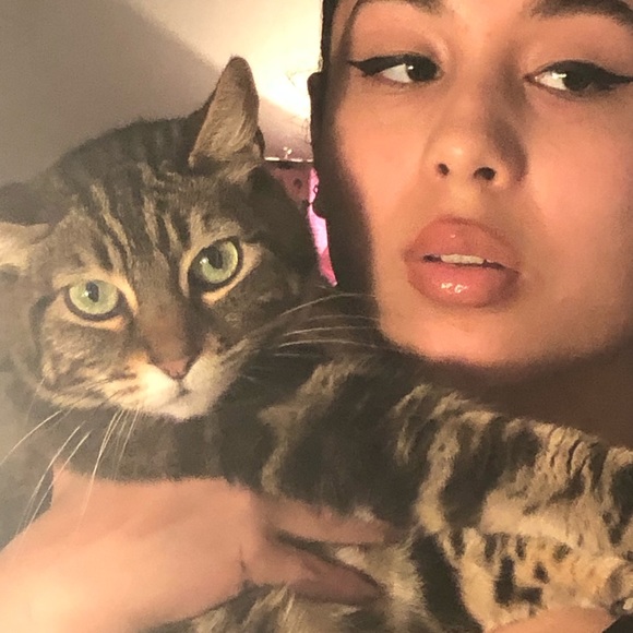 Meet your Posher, Ava - Picture 1 of 1